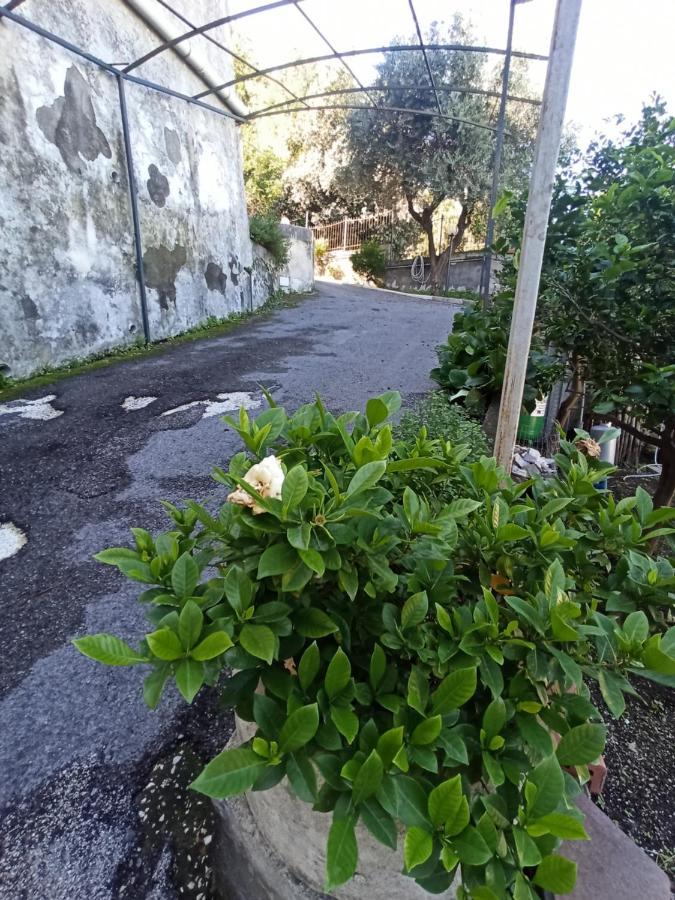La Terrazza Quisisana Sorrento Coast * Castellammare di Stabia